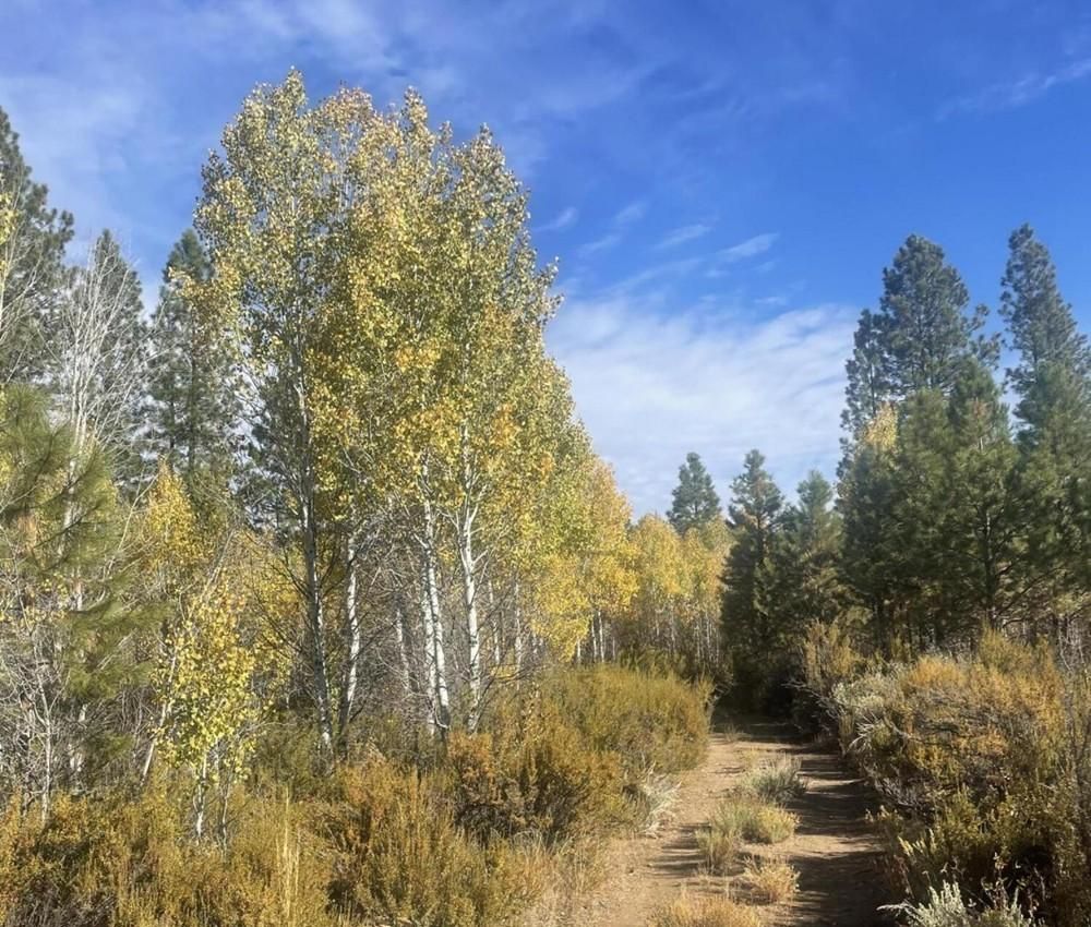 Sprague River, Klamath County, OR Recreational Property, Undeveloped