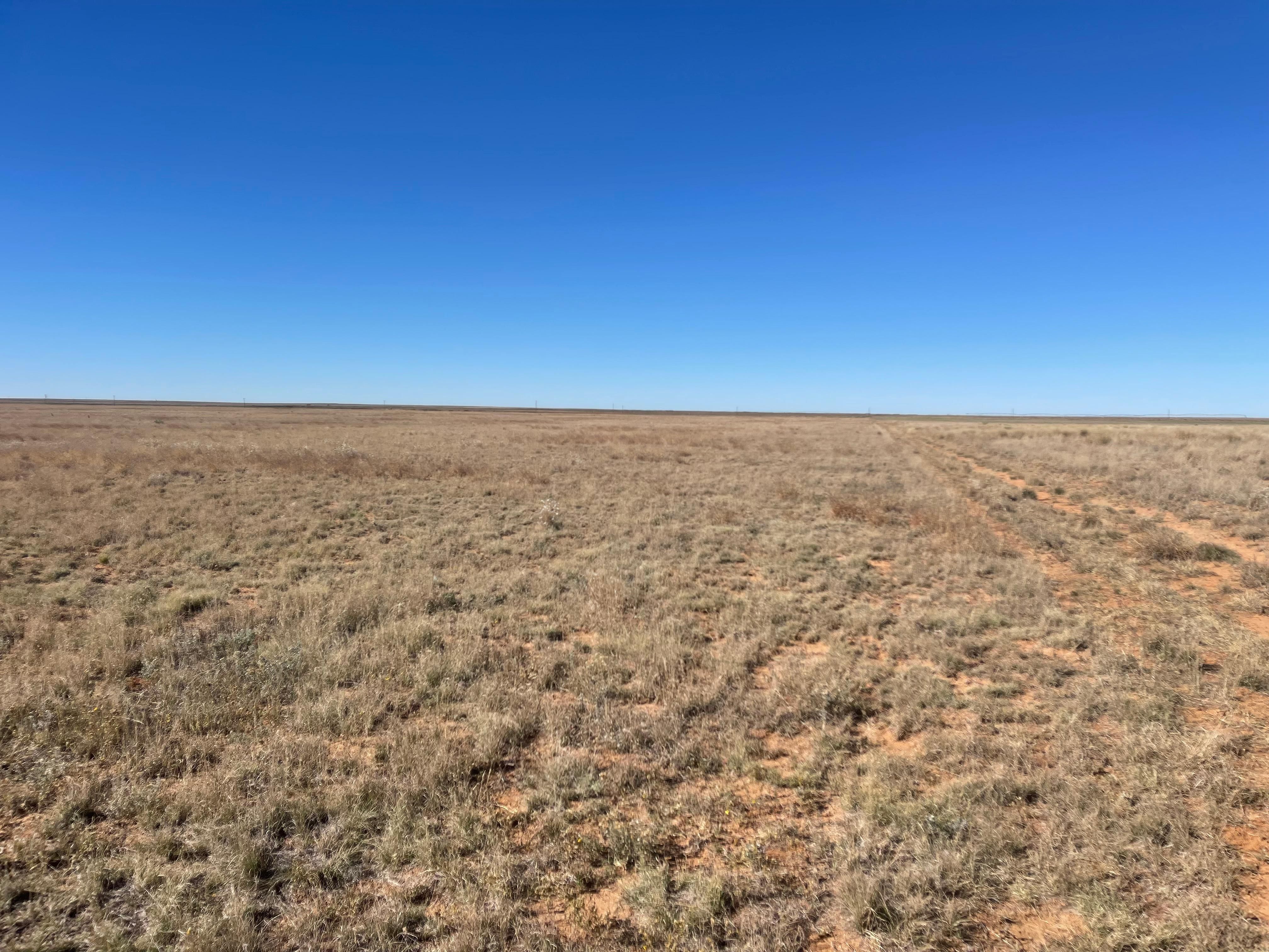 354 Acres, Morton, TX 79346 MLS