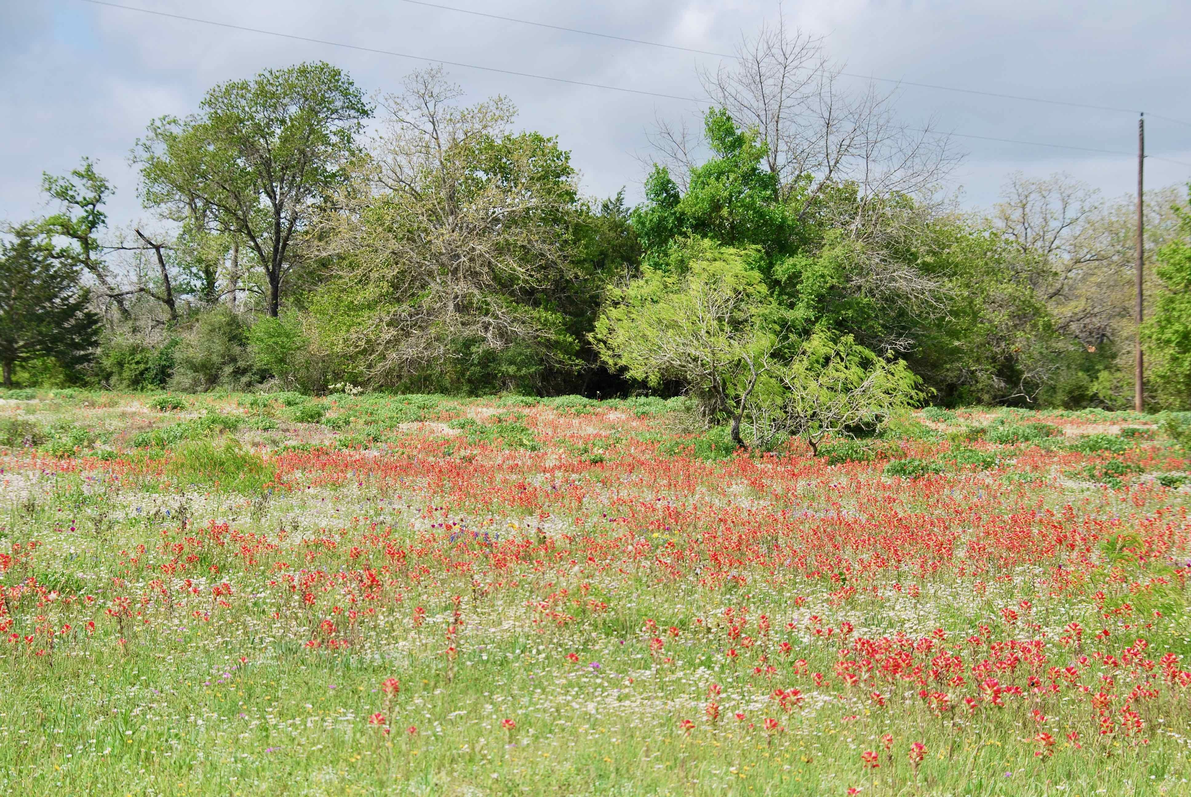 Gonzales, Gonzales County, TX Recreational Property, Undeveloped Land