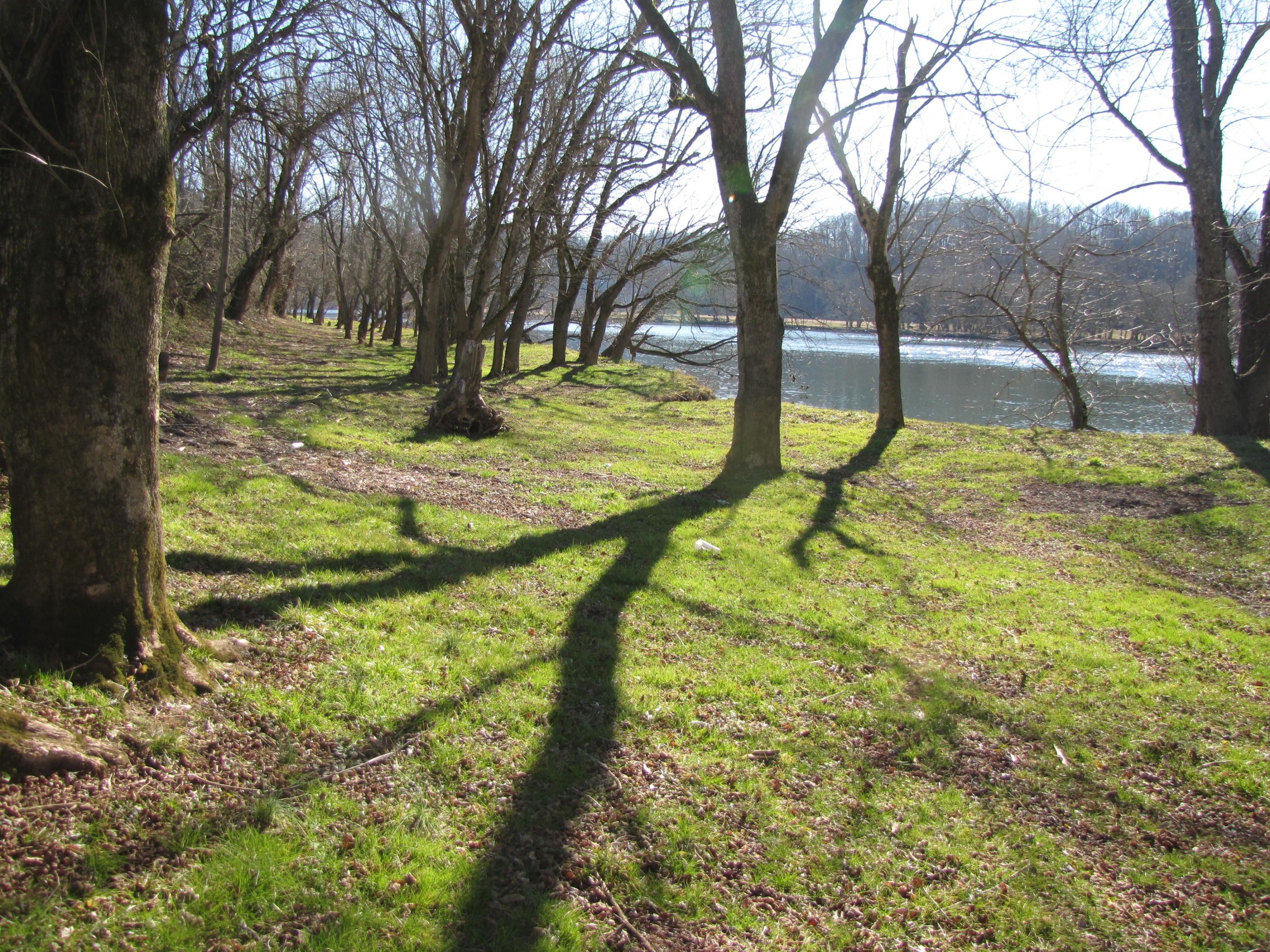 Rogersville, Hawkins County, TN Undeveloped Land, Lakefront Property