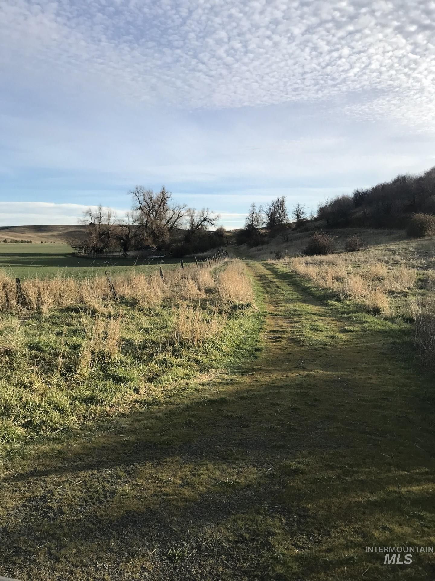 Moscow, Latah County, ID Farms and Ranches for sale Property ID