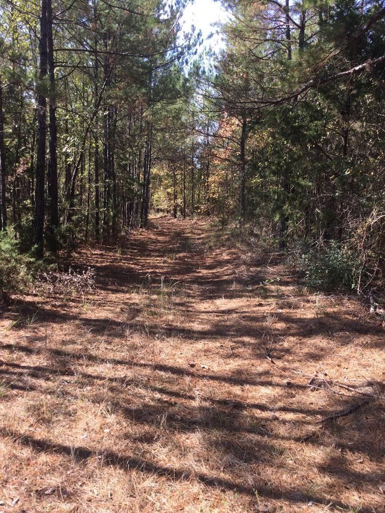 Cushing, Nacogdoches County, TX Undeveloped Land for sale Property ID