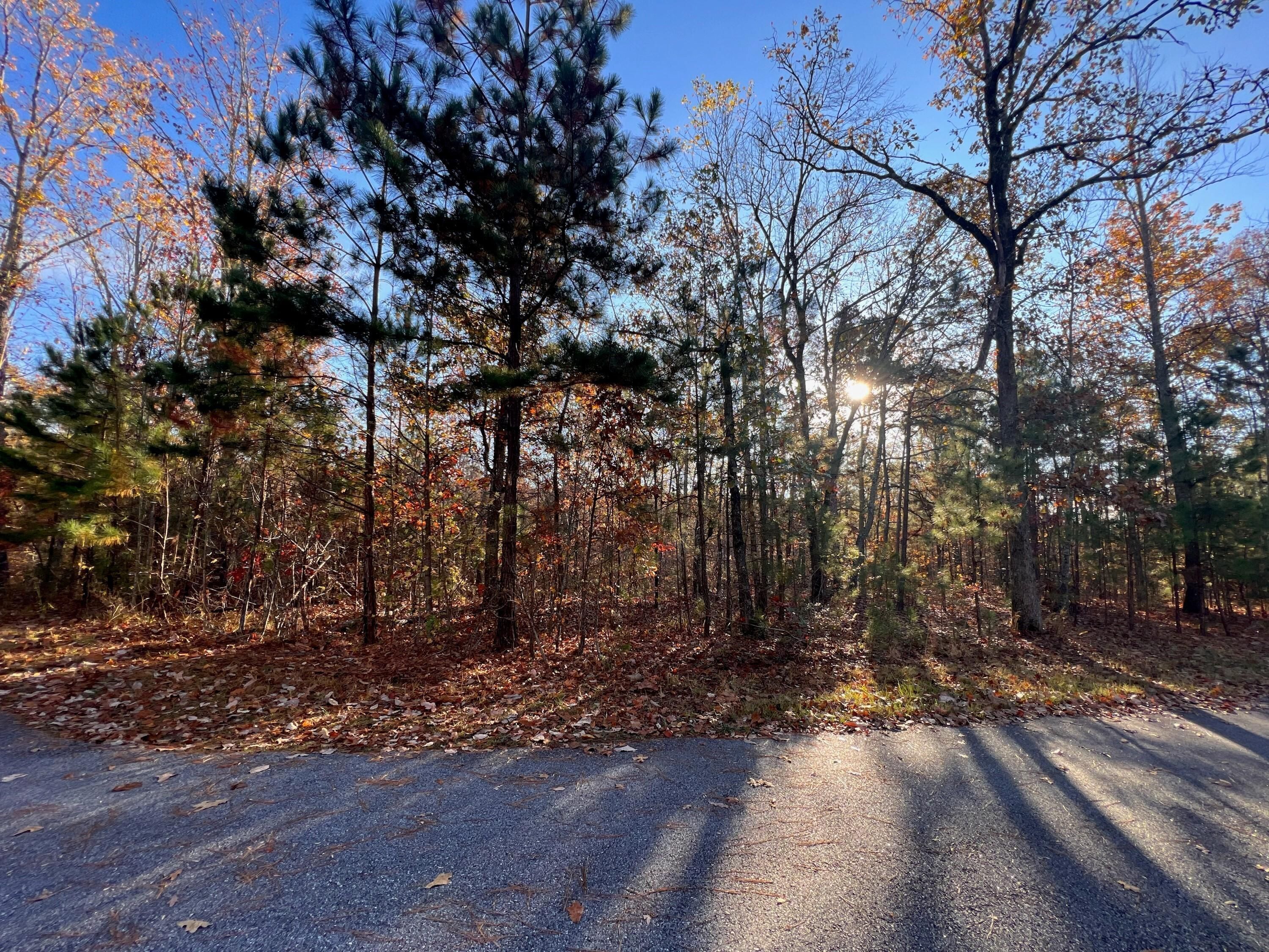 Pine Mountain, Harris County, GA Recreational Property, Undeveloped