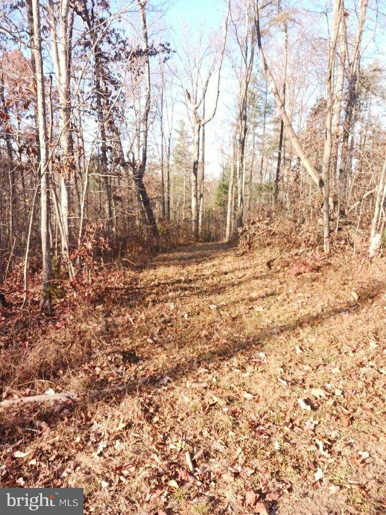 Reva, Culpeper County, VA Undeveloped Land for sale Property ID