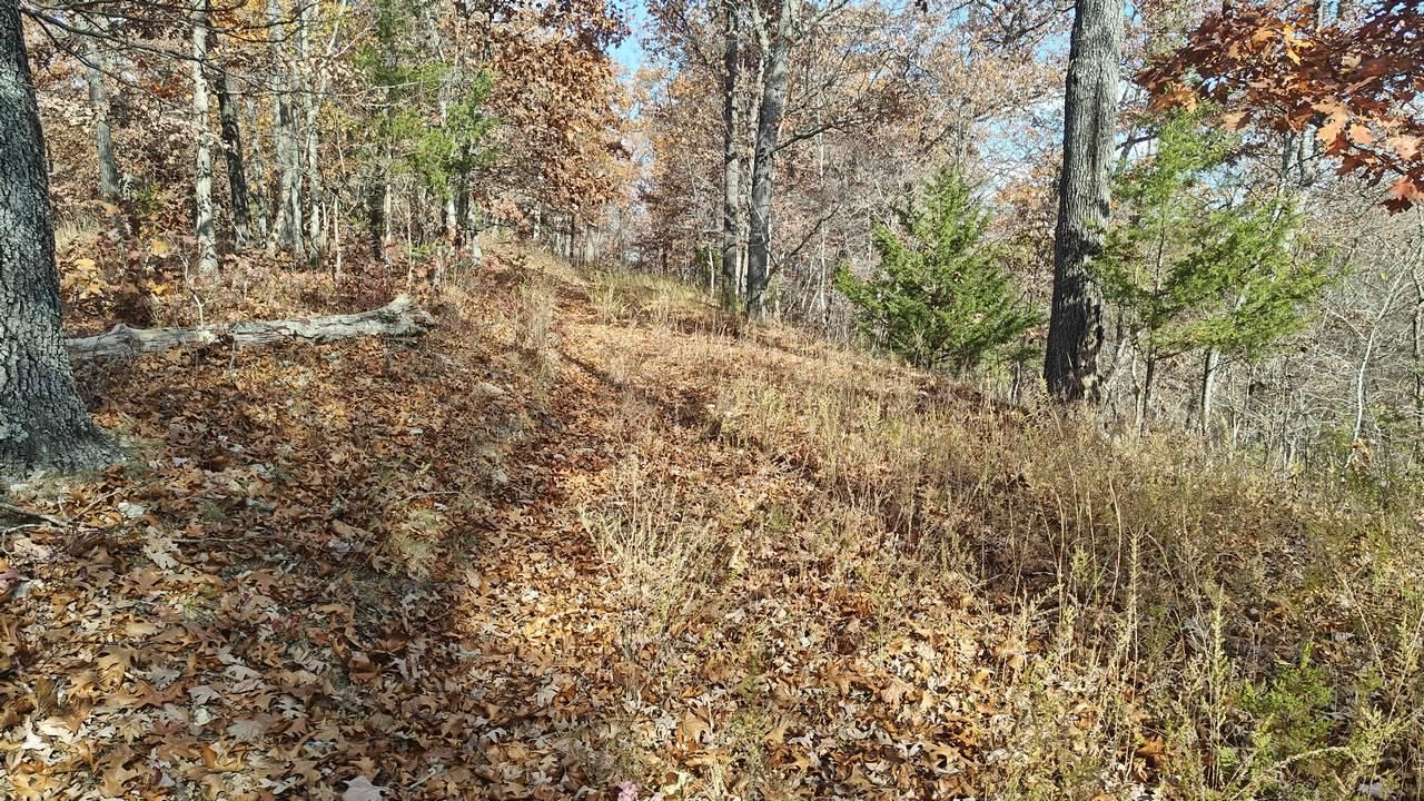 Sunrise Beach, Camden County, MO Undeveloped Land, Hunting Property