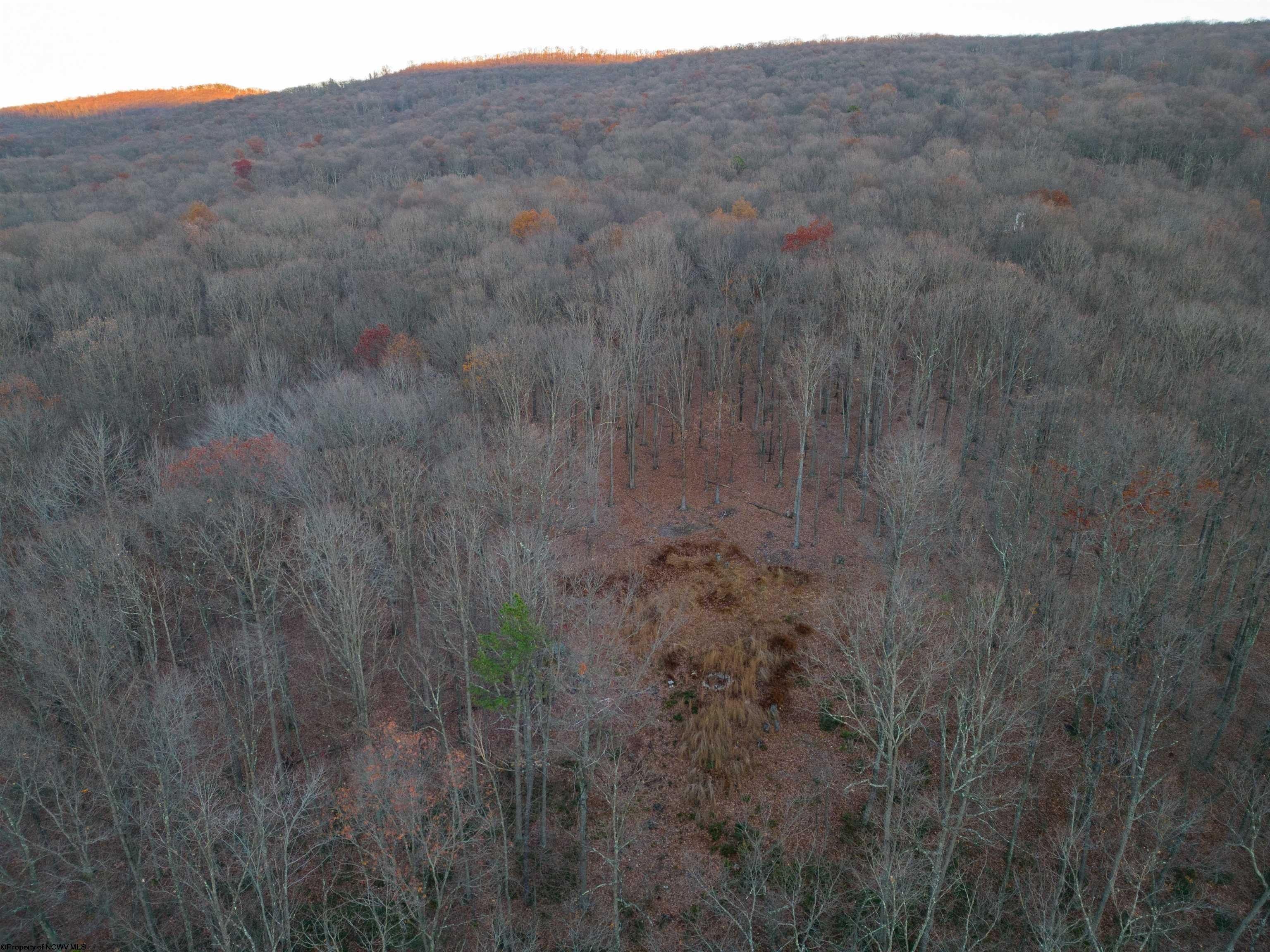 Romney, Hampshire County, WV Undeveloped Land for sale Property ID