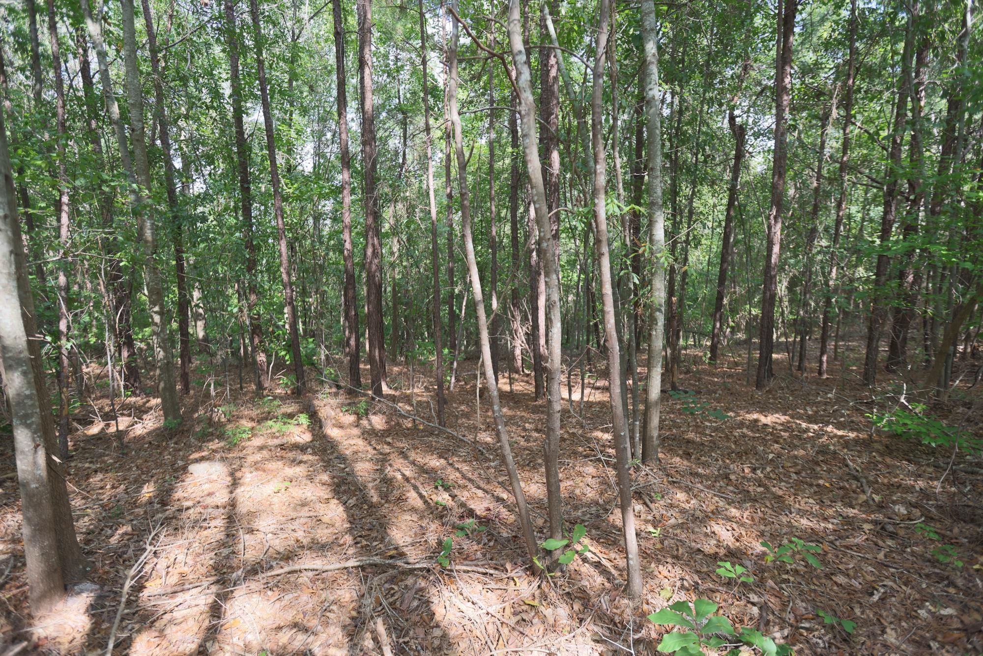 Gordon, Wilkinson County, GA Recreational Property, Hunting Property