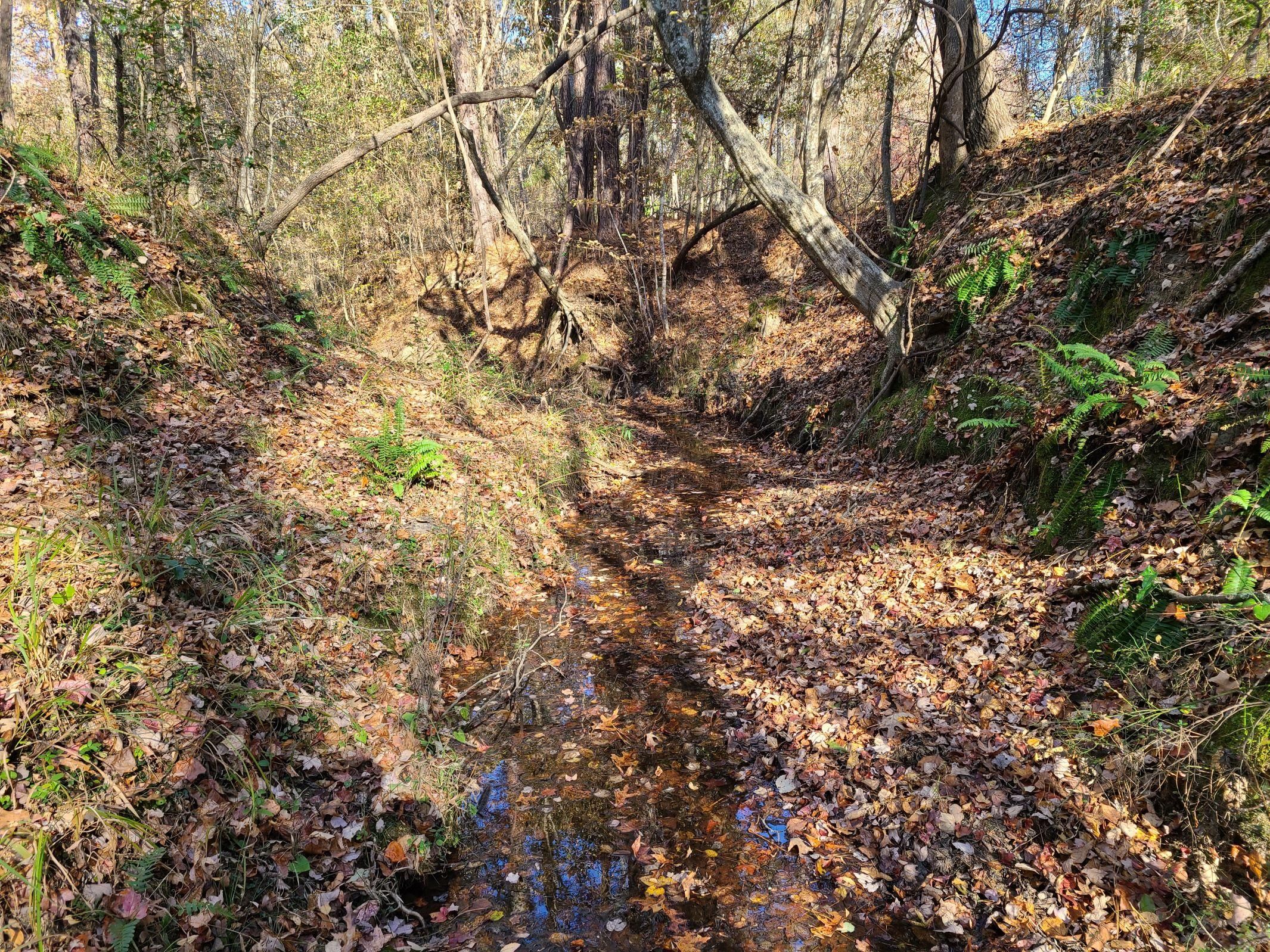 Old Blair Road, Pomaria, SC 29126 MLS 669008 LandWatch