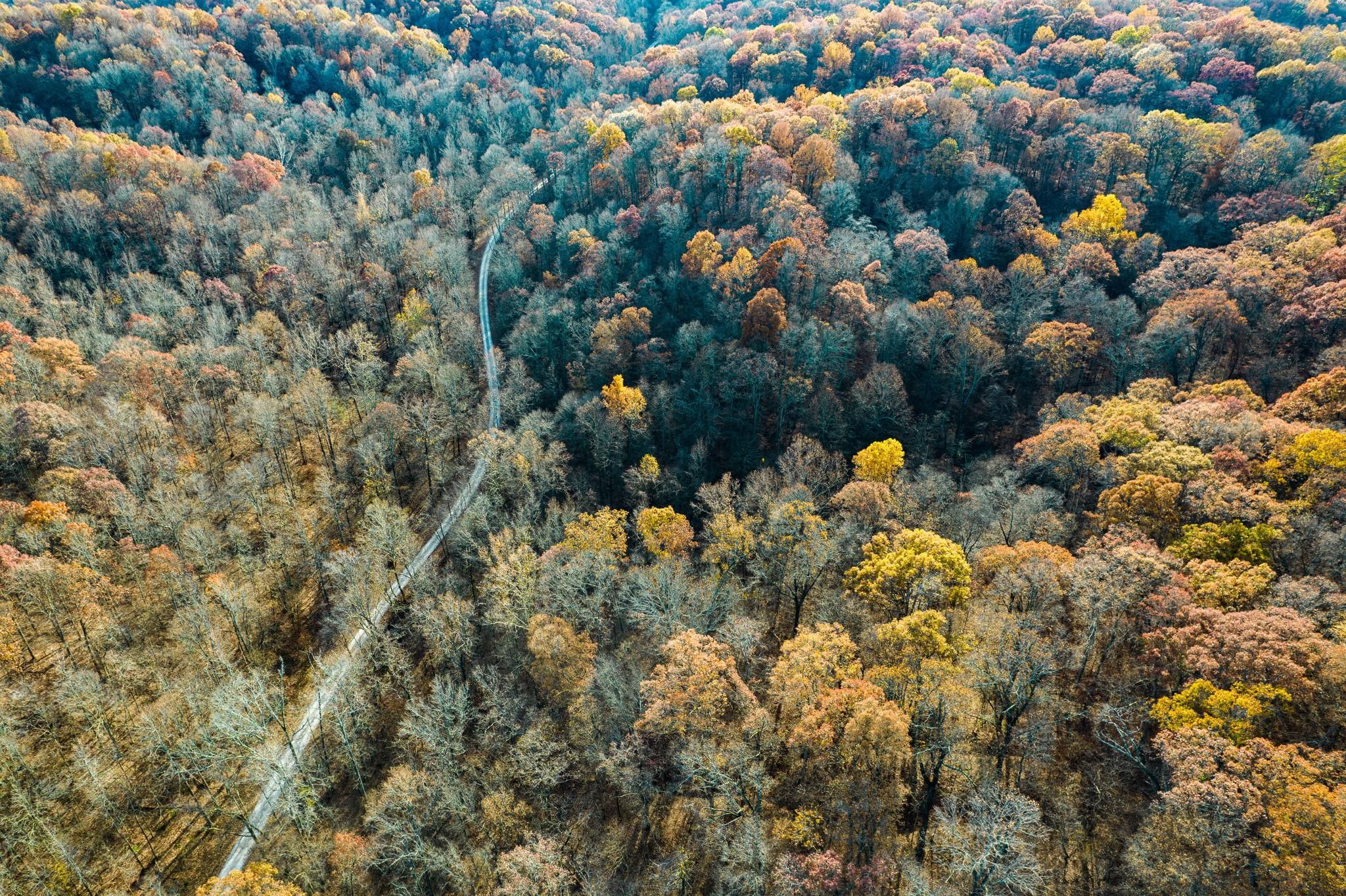 5 acres in Tamms, IL, 62988 MLS