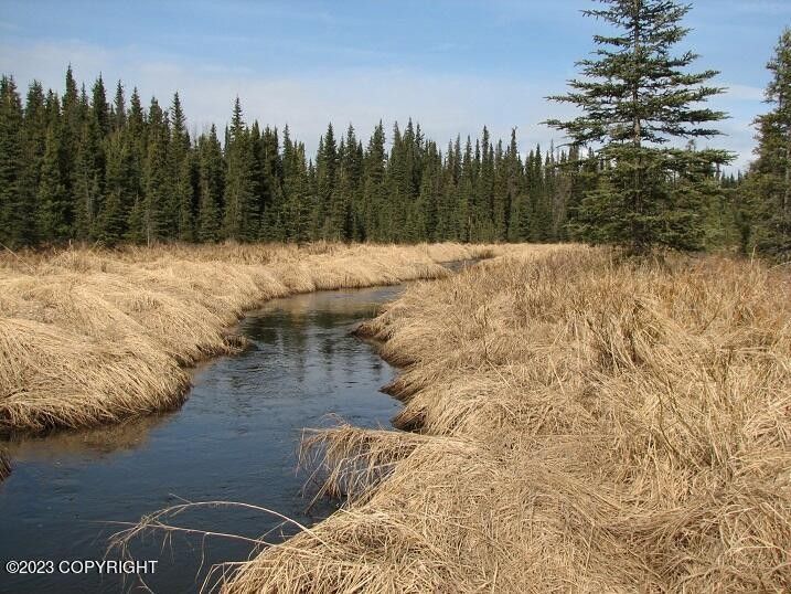 Soldotna, Kenai Peninsula Borough, AK Undeveloped Land, Lakefront