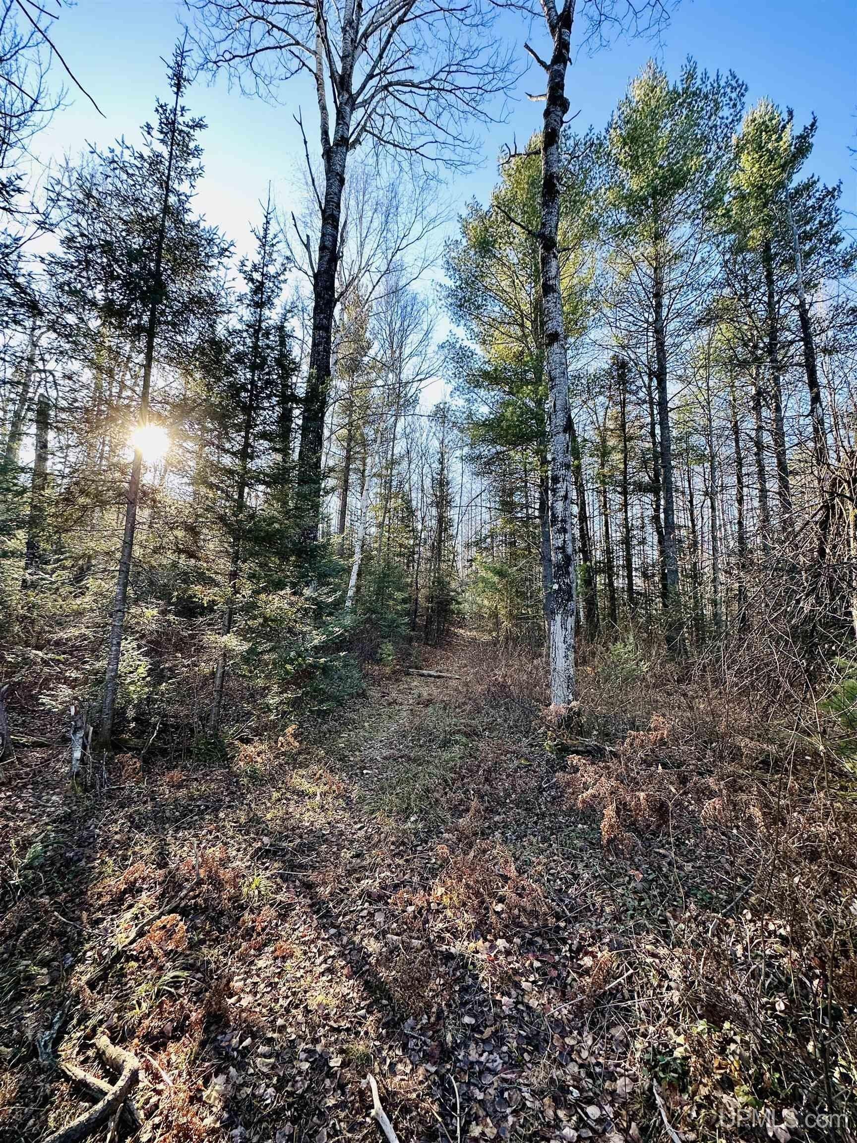 Gwinn, Marquette County, MI Undeveloped Land for sale Property ID