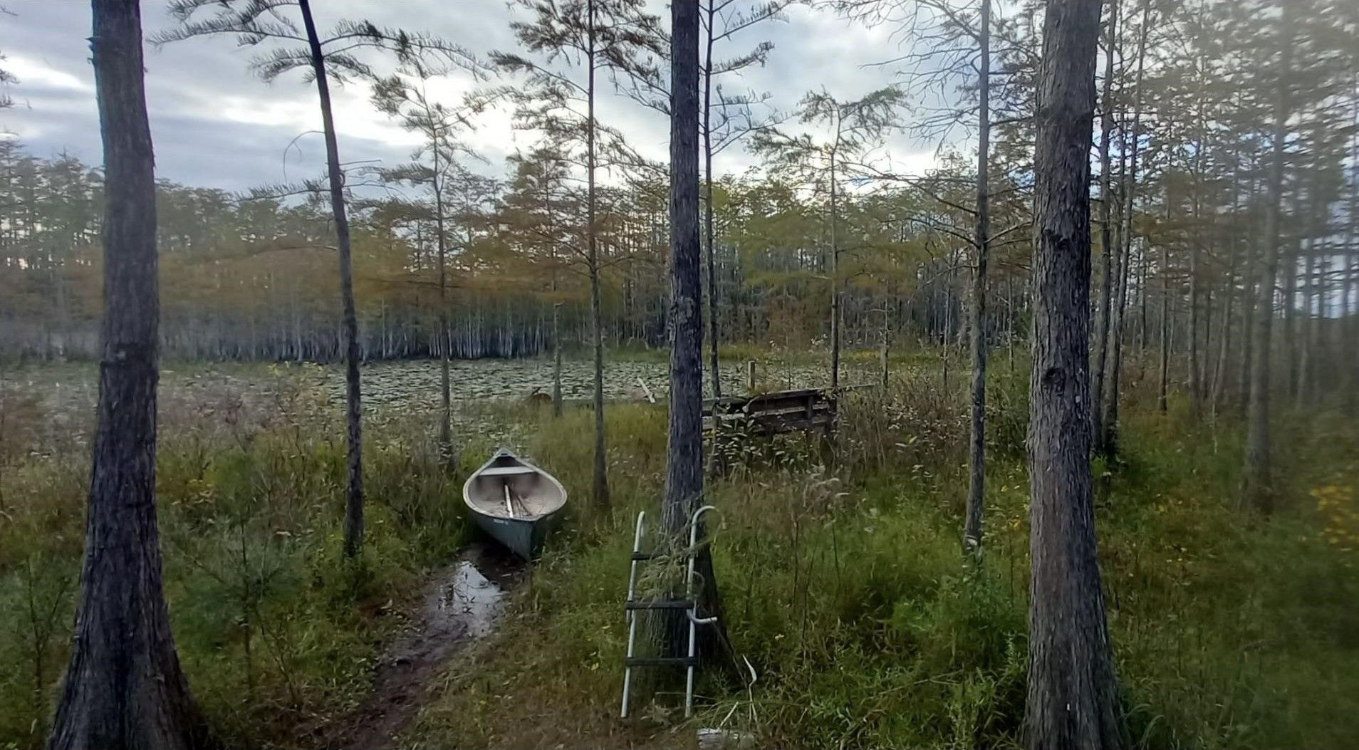 Tallahassee, Leon County, FL Undeveloped Land, Lakefront Property