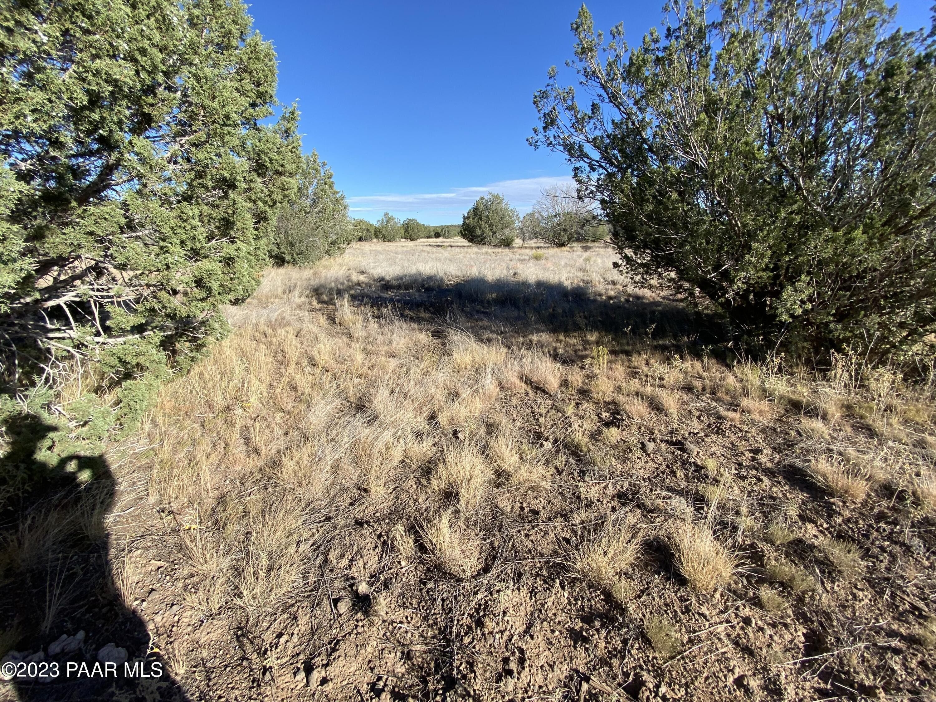 Ash Fork, Coconino County, AZ Undeveloped Land, Homesites for sale