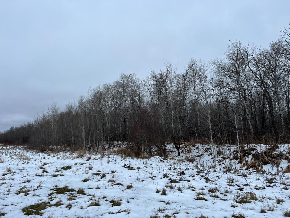 Karlstad, Kittson County, MN Farms and Ranches, Recreational Property