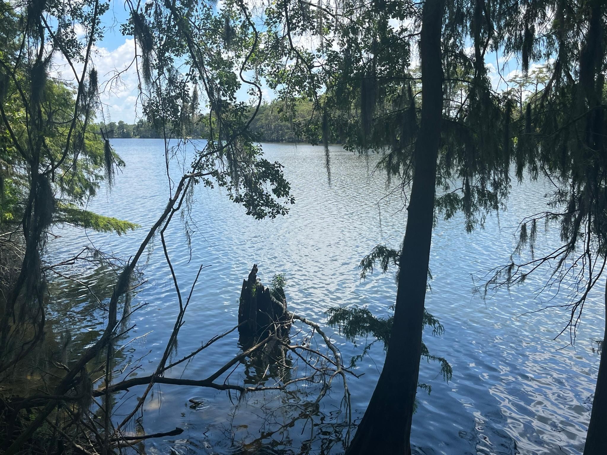 Duck Hill, Montgomery County, MS Hunting Property for sale Property ID 418343588 LandWatch