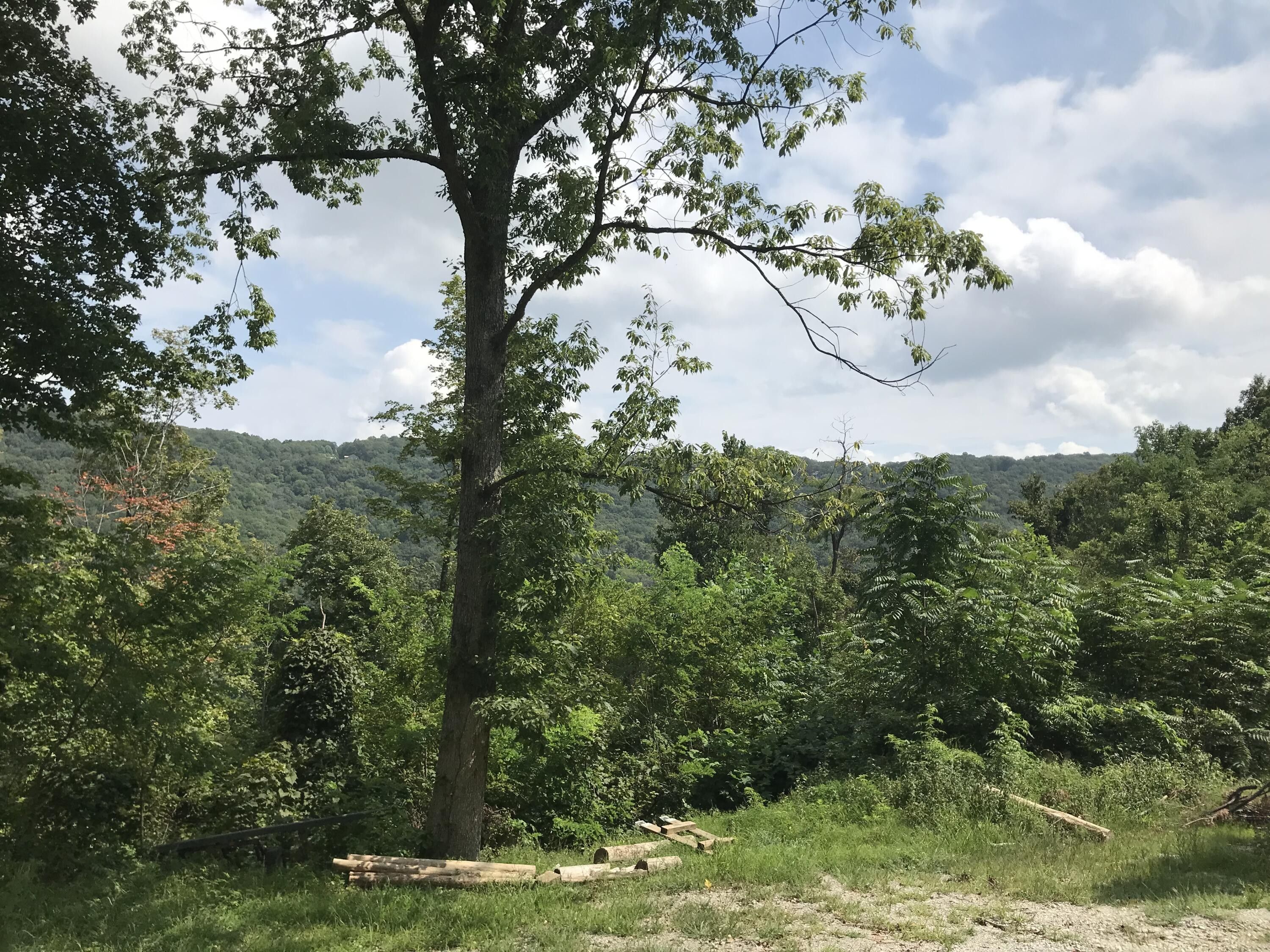 Altamont, Grundy County, TN Undeveloped Land for sale Property ID