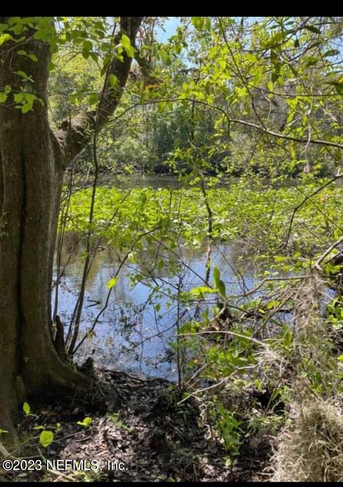 Middleburg, Clay County, FL Undeveloped Land, Lakefront Property