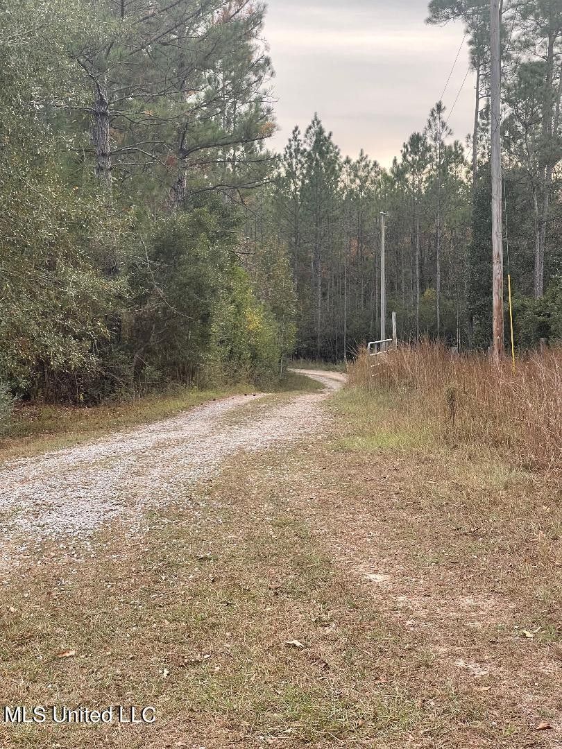 Saucier, Harrison County, MS Undeveloped Land, Lakefront Property