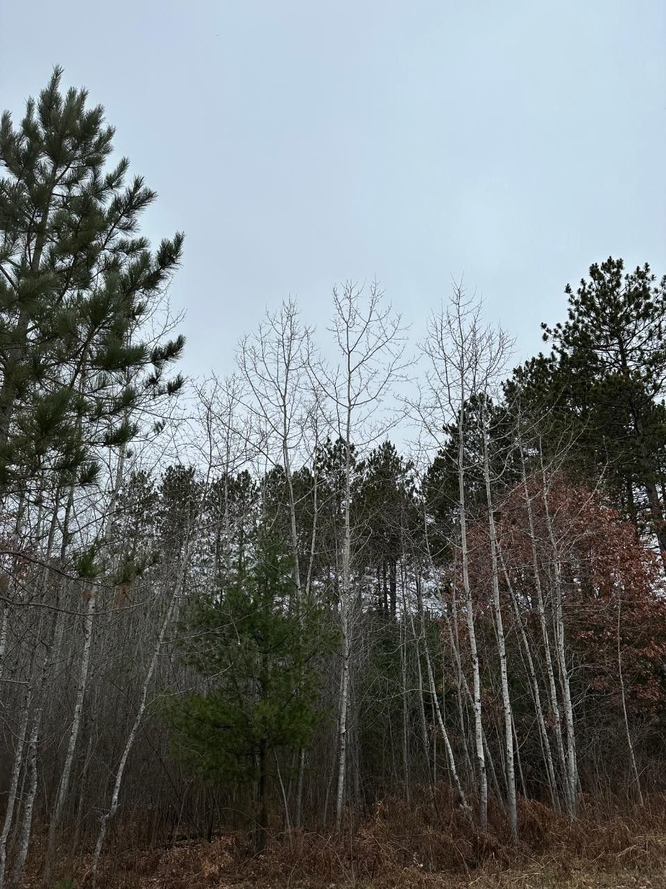 Tomahawk, Oneida County, WI Undeveloped Land for sale Property ID