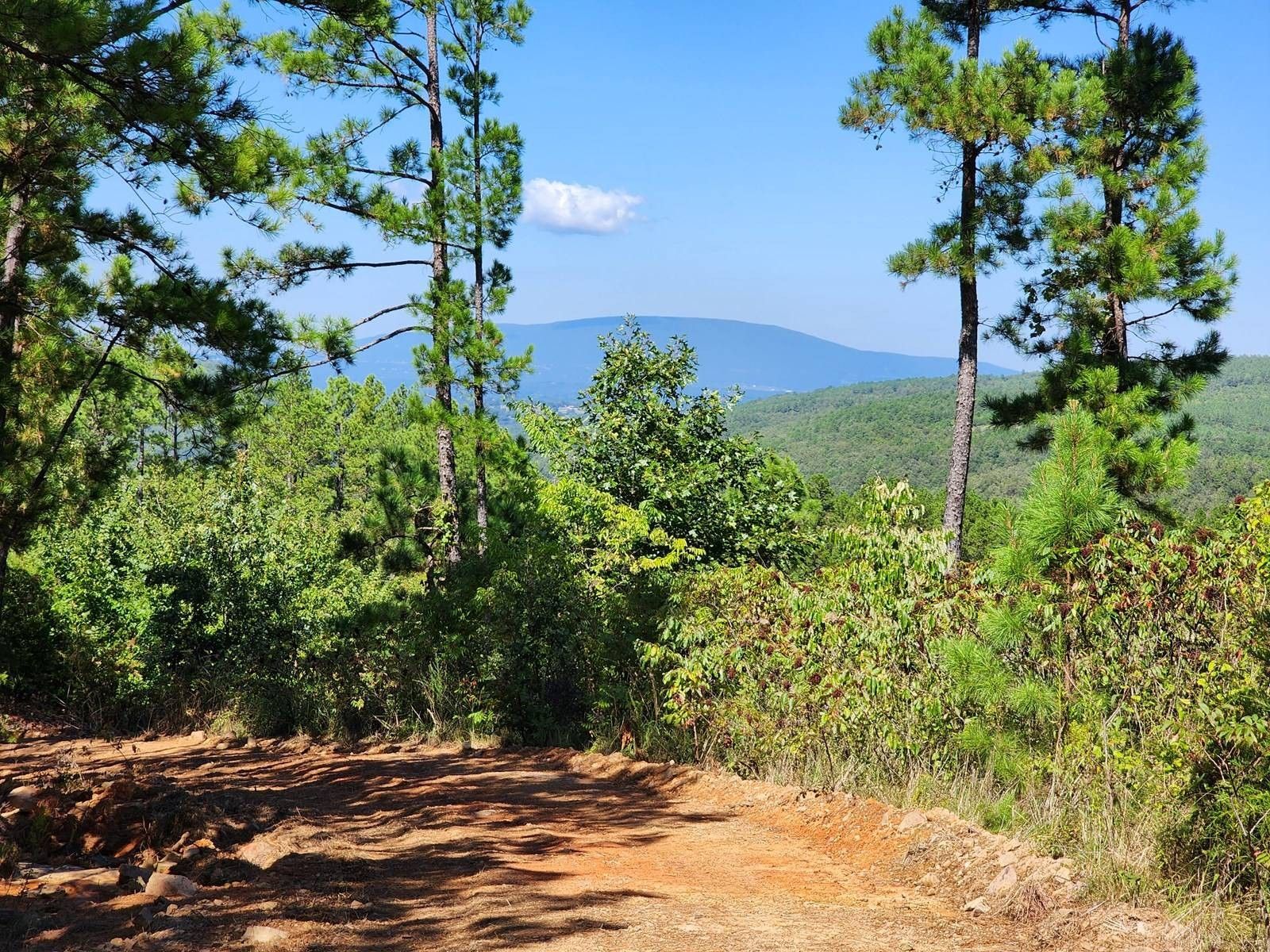 Heavener, Le Flore County, OK Undeveloped Land for sale Property ID