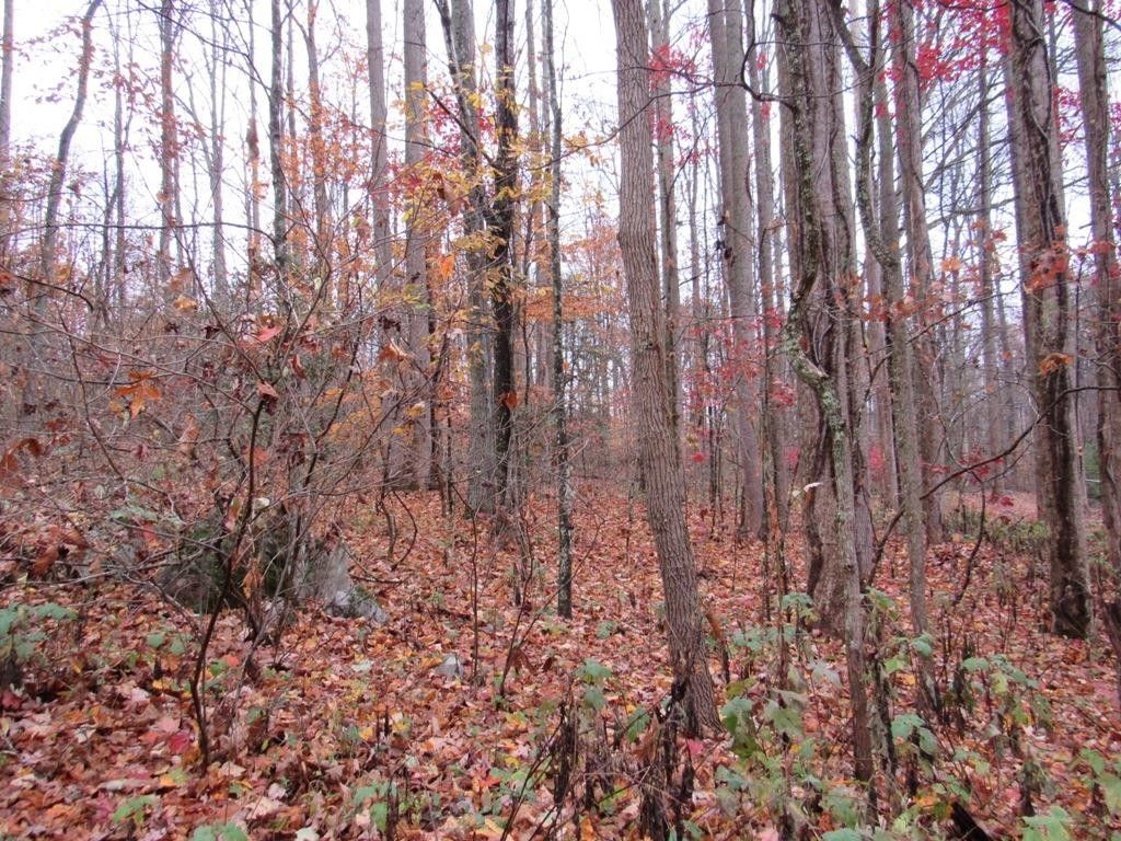 Abingdon, Washington County, VA Farms and Ranches, Homesites for sale