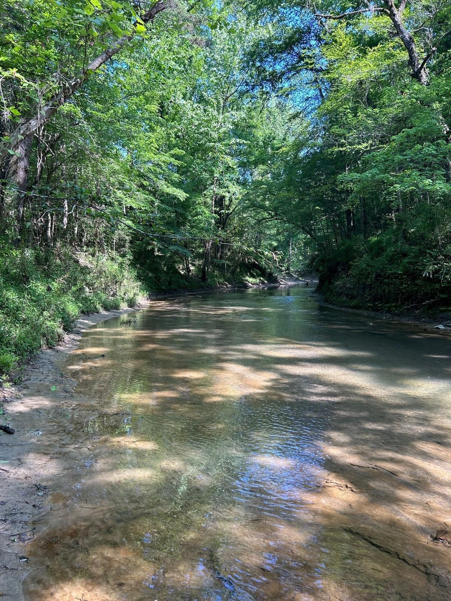 Pine Hill, Wilcox County, AL Timberland Property, Hunting Property for