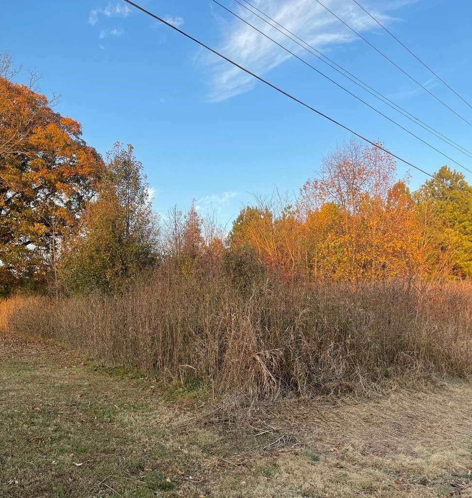 Ripley, Lauderdale County, TN Undeveloped Land, Homesites for sale