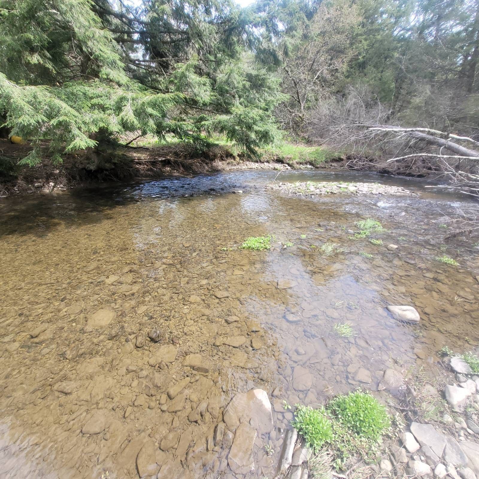 Plymouth, Chenango County, NY Undeveloped Land for sale Property ID