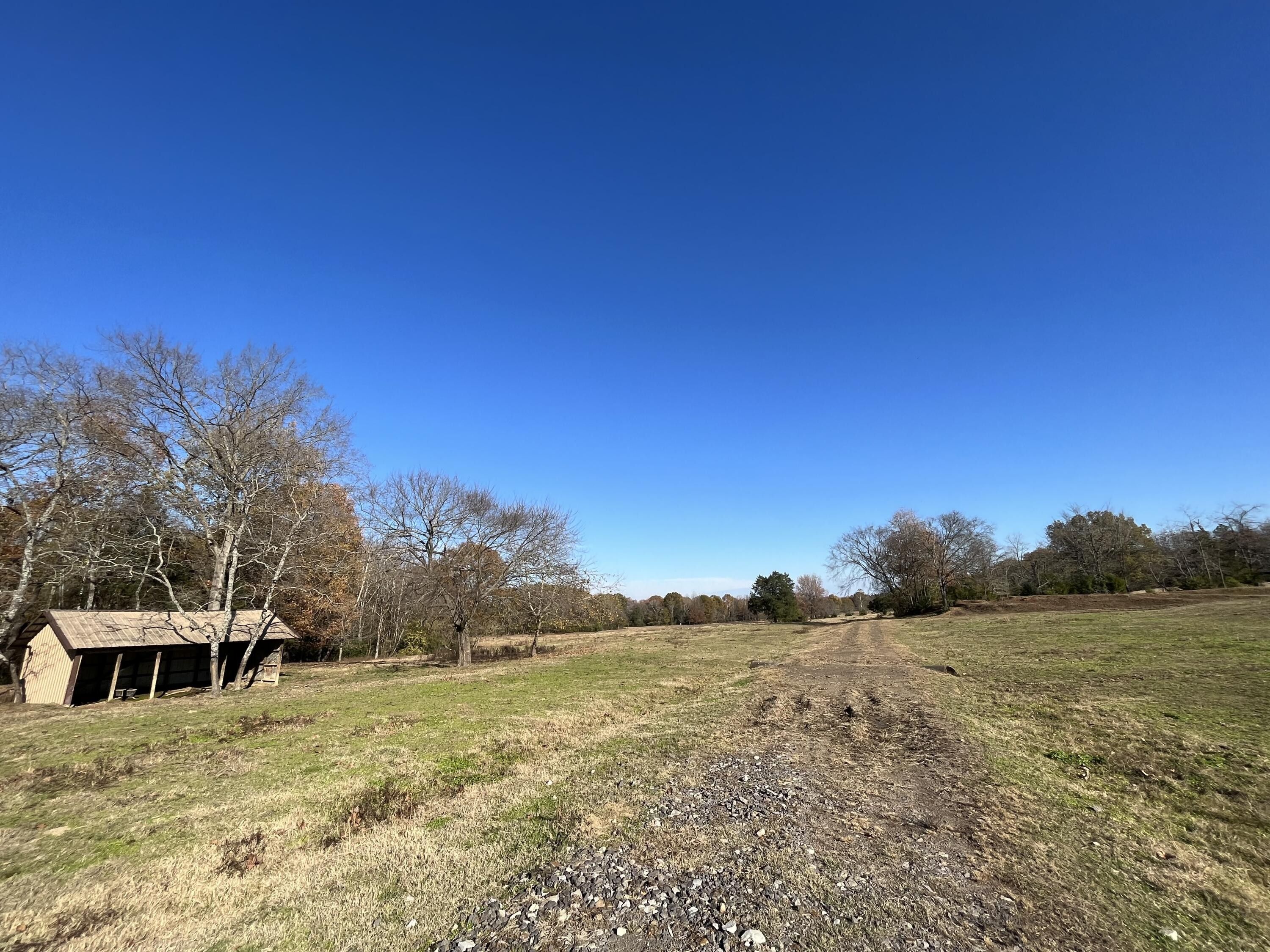Belleville, Yell County, AR Undeveloped Land for sale Property ID