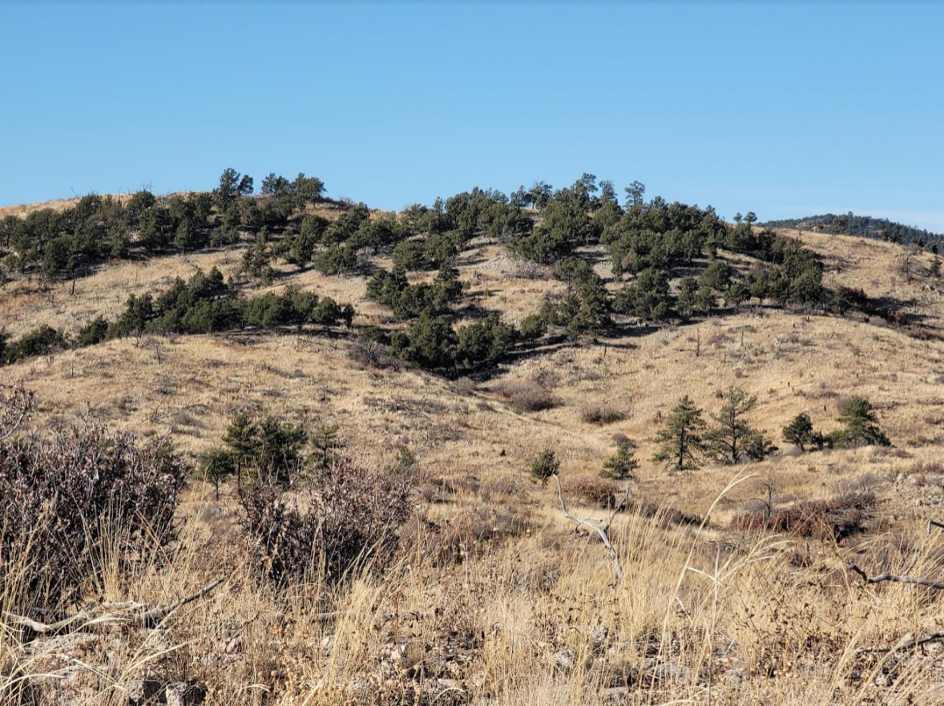 Westcliffe, Fremont County, CO Recreational Property, Hunting Property
