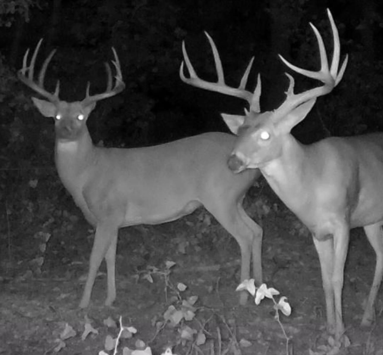 115 acres in Memphis, TN, 38108 LandWatch