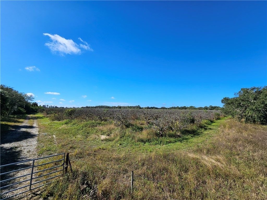 Moore Haven, Glades County, FL Undeveloped Land, Lakefront Property, Waterfront Property for