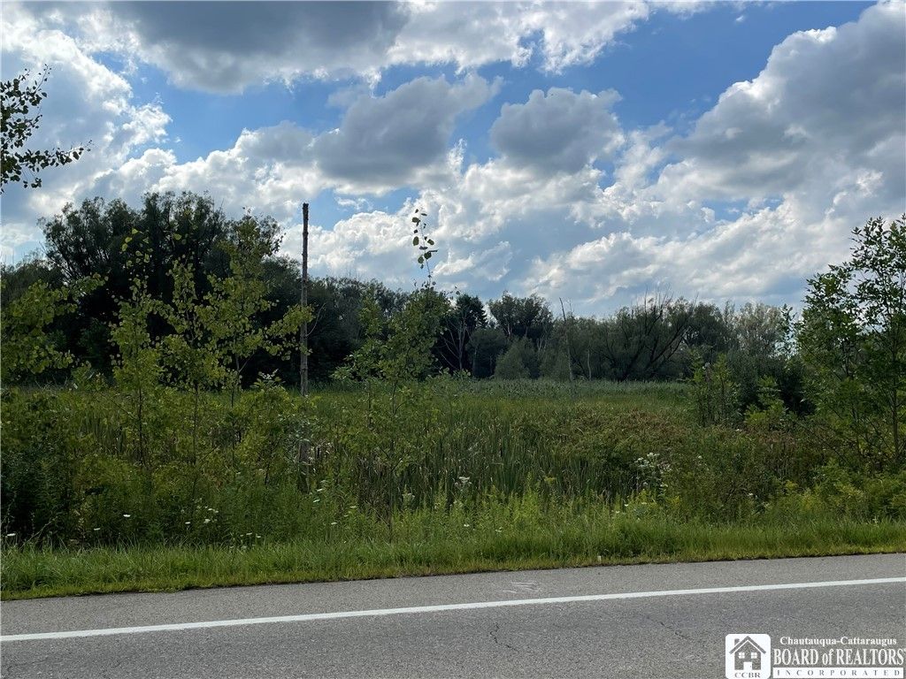 Randolph, Cattaraugus County, NY for sale Property ID 417499911