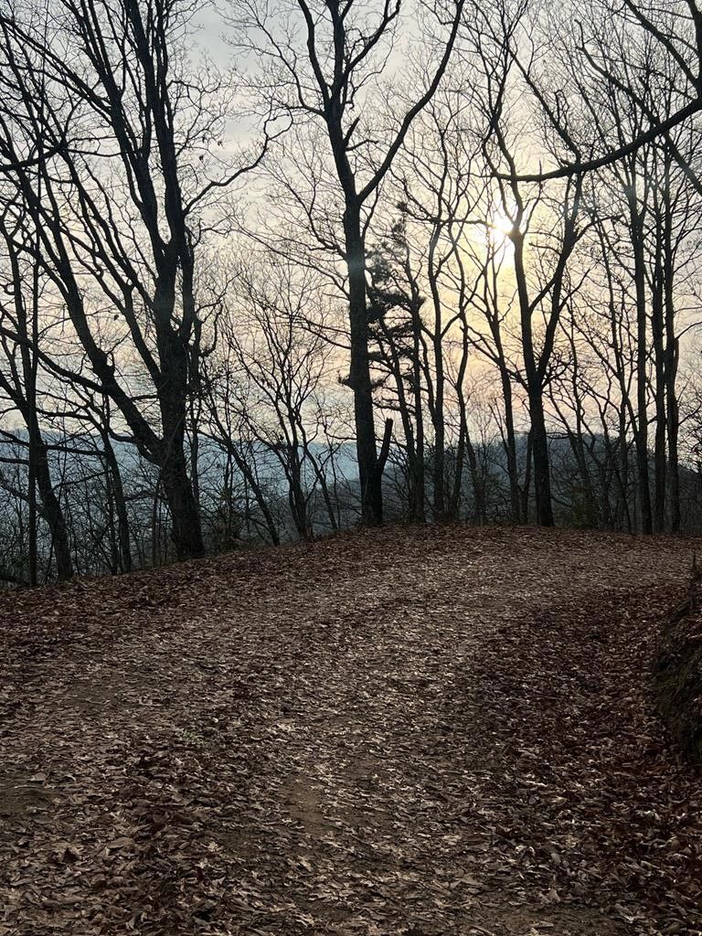 Rocky Gap, Bland County, VA Undeveloped Land, Homesites for sale