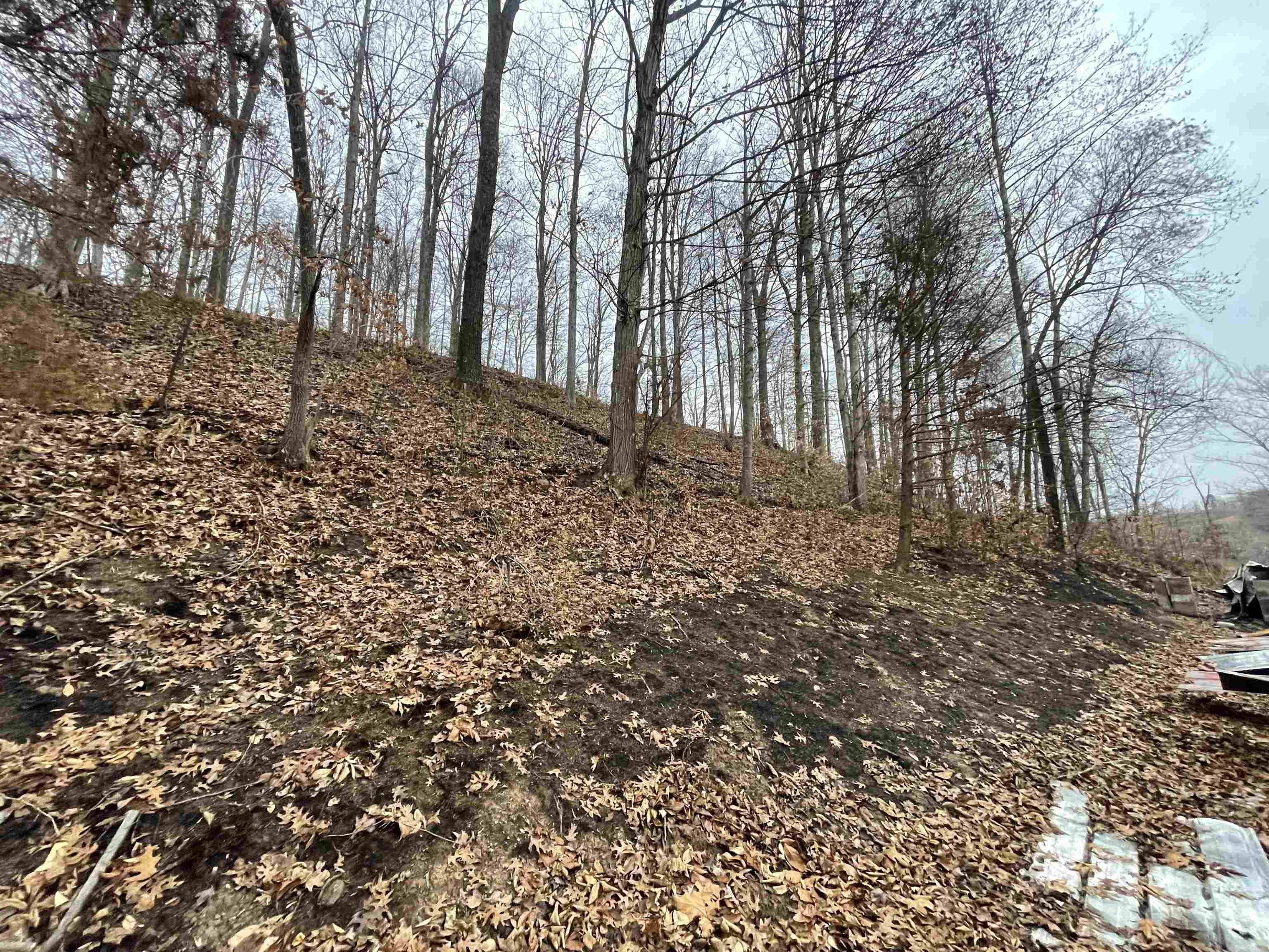 Fort Gay, Wayne County, WV Homesites for sale Property ID 417496792