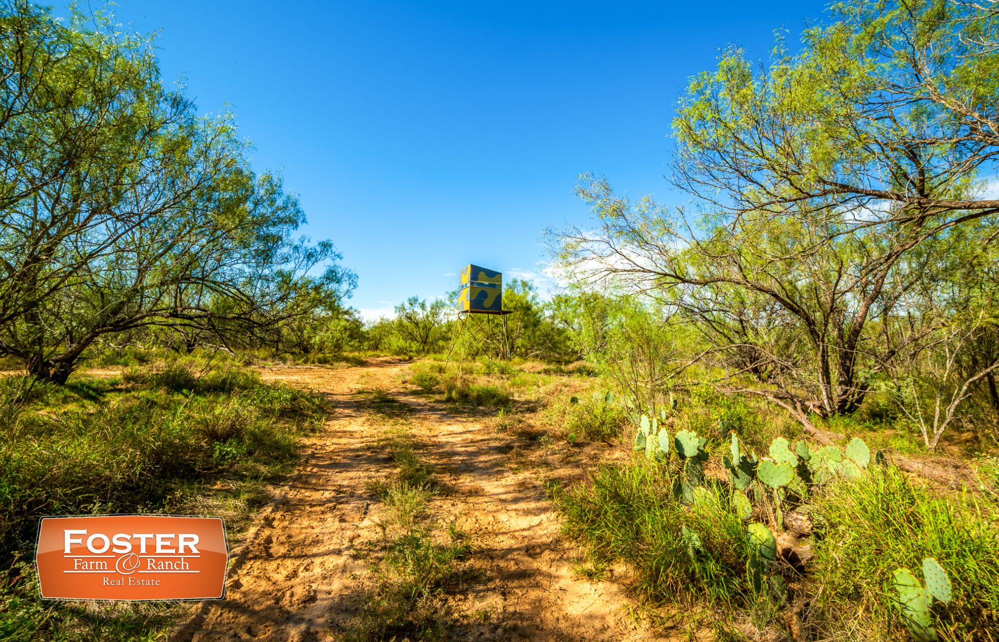 356.4 acres in Carrizo Springs, TX, 78834 LandWatch