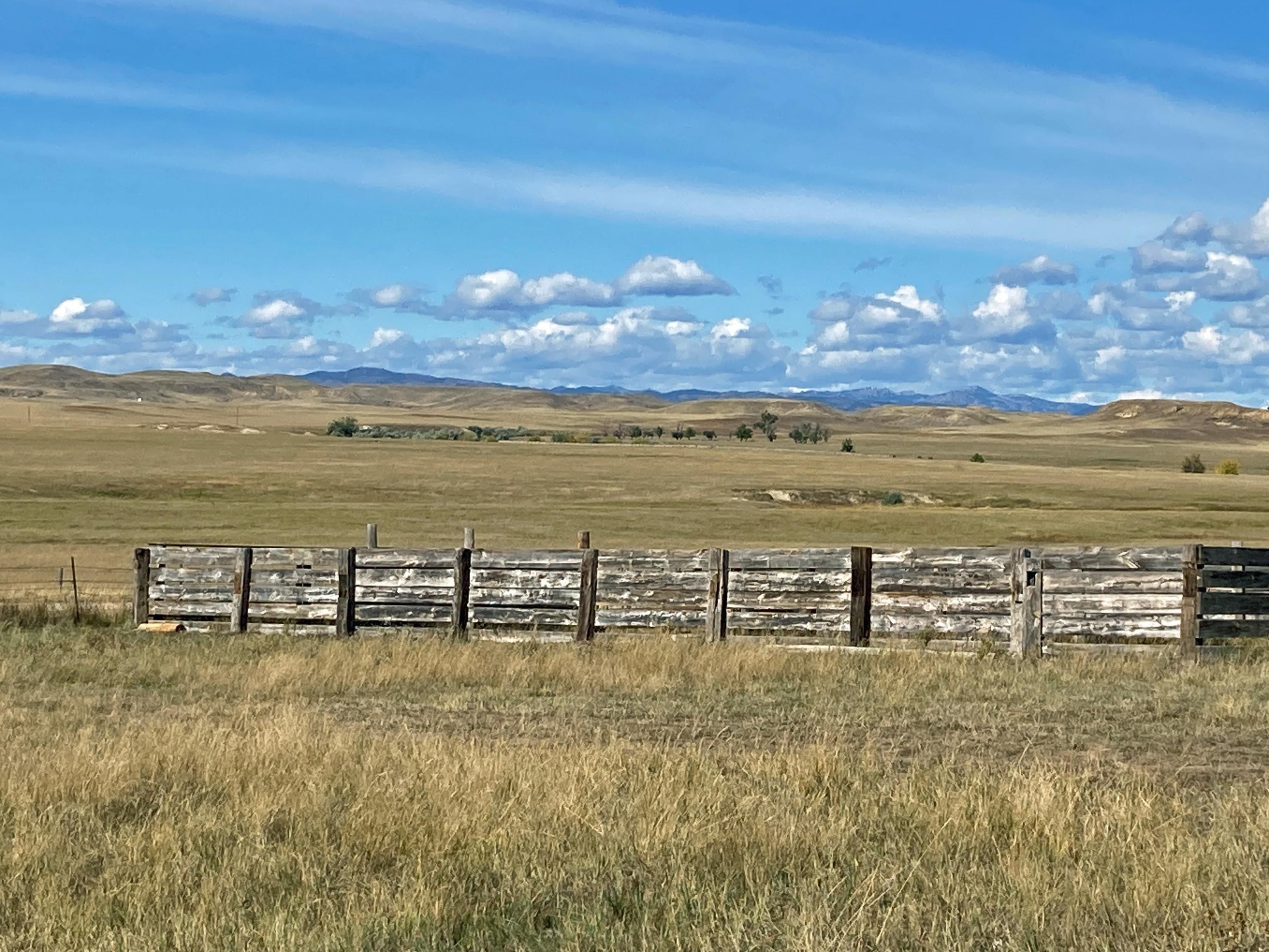 Fairburn, Custer County, SD Farms and Ranches, Undeveloped Land, Horse Property for sale