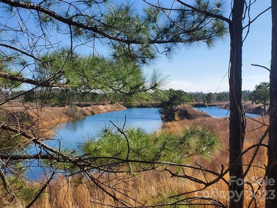Marlboro County, SC Undeveloped Land for sale Property