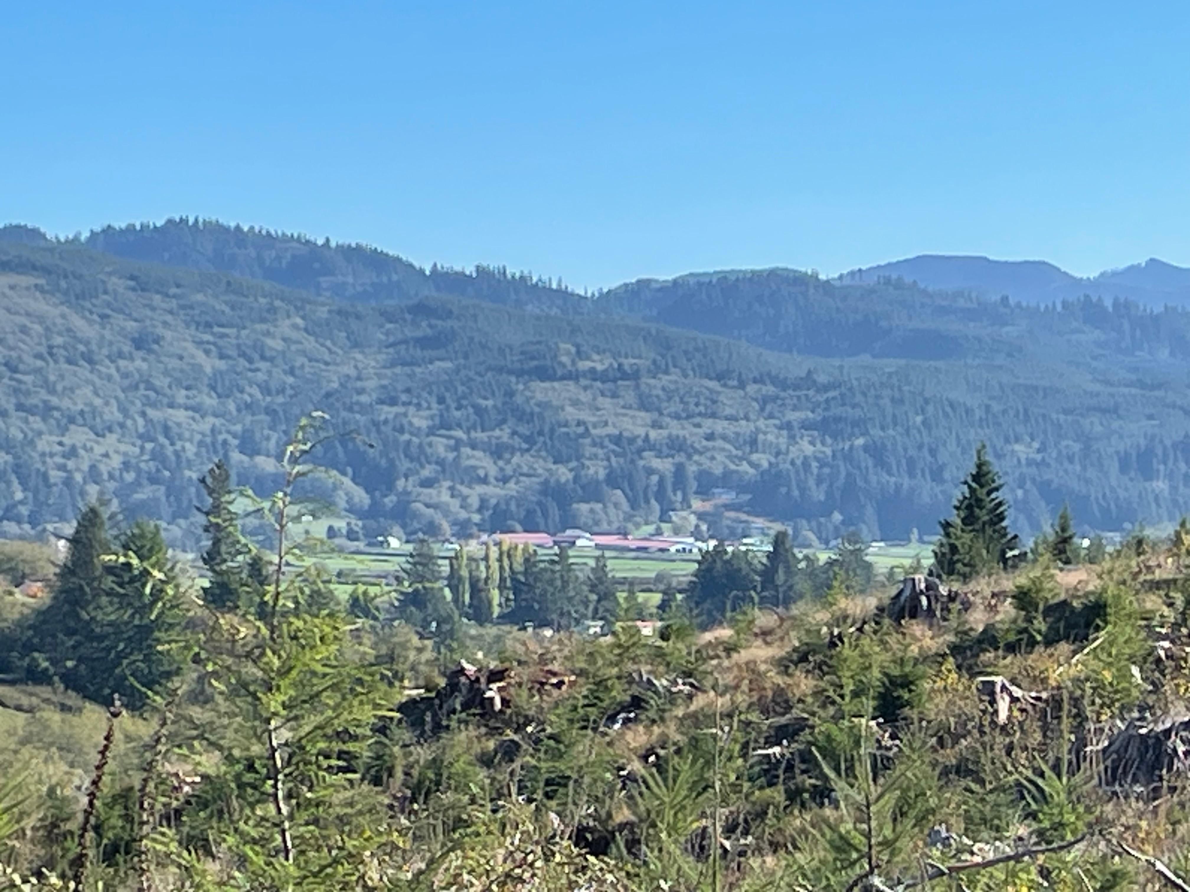 298 acres in Nehalem, OR, 97131 LandWatch