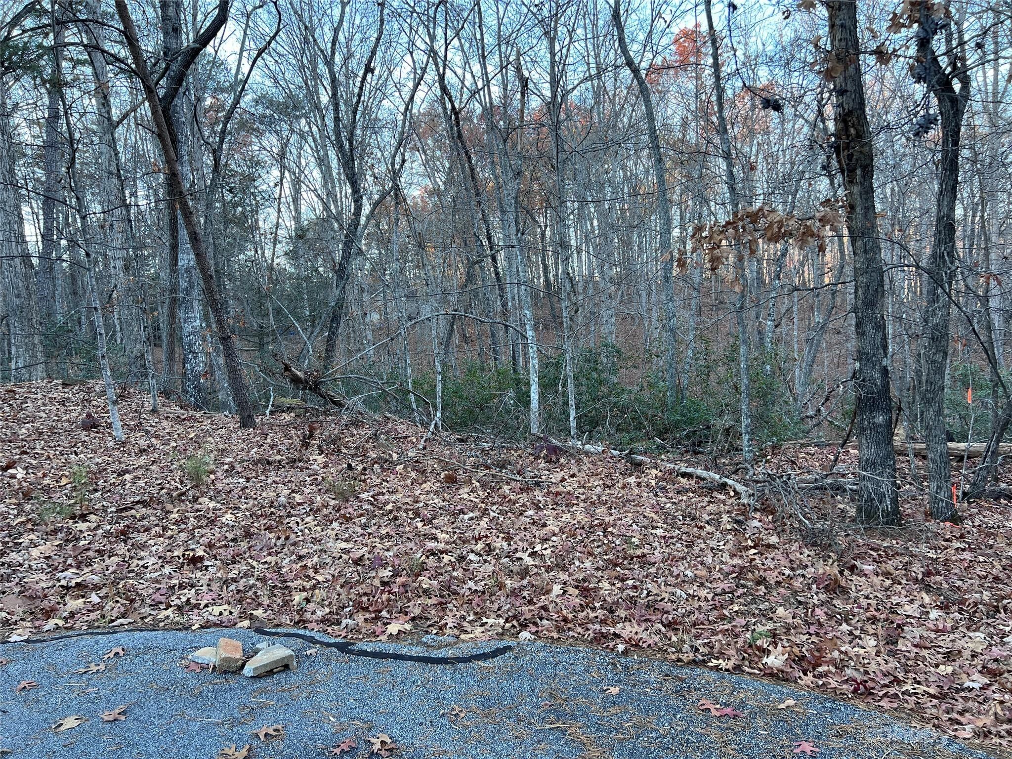 Lake Lure, Rutherford County, NC Undeveloped Land, Homesites for sale