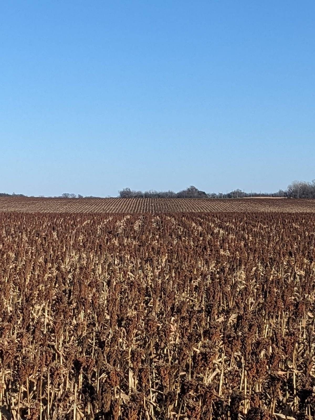 Penalosa, Kingman County, KS for sale Property ID 418363378 LandWatch