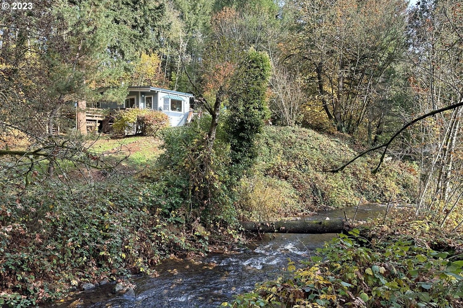 Springfield, Lane County, OR House for sale Property ID 418363658