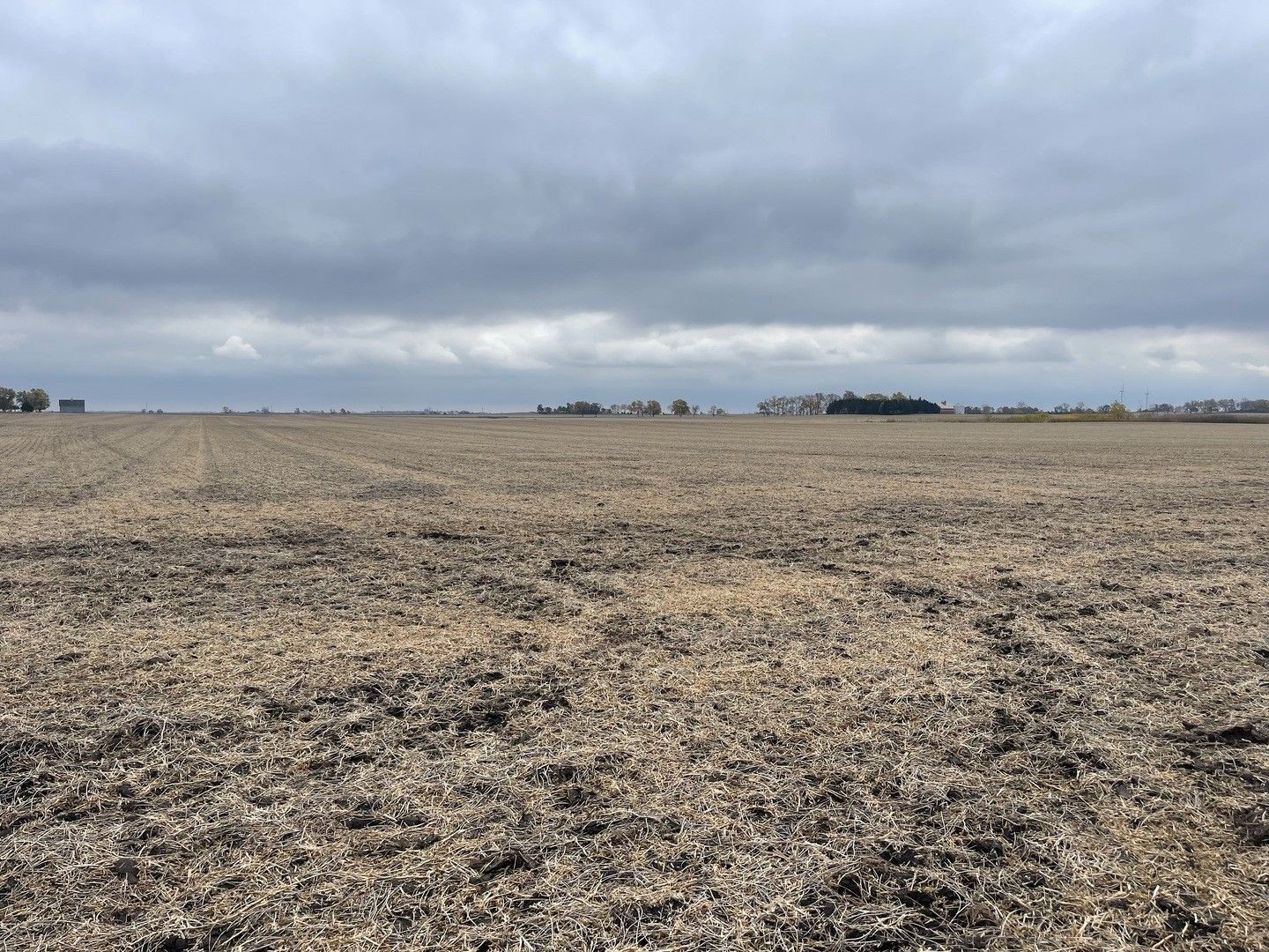 Bellflower, McLean County, IL Farms and Ranches for sale Property ID