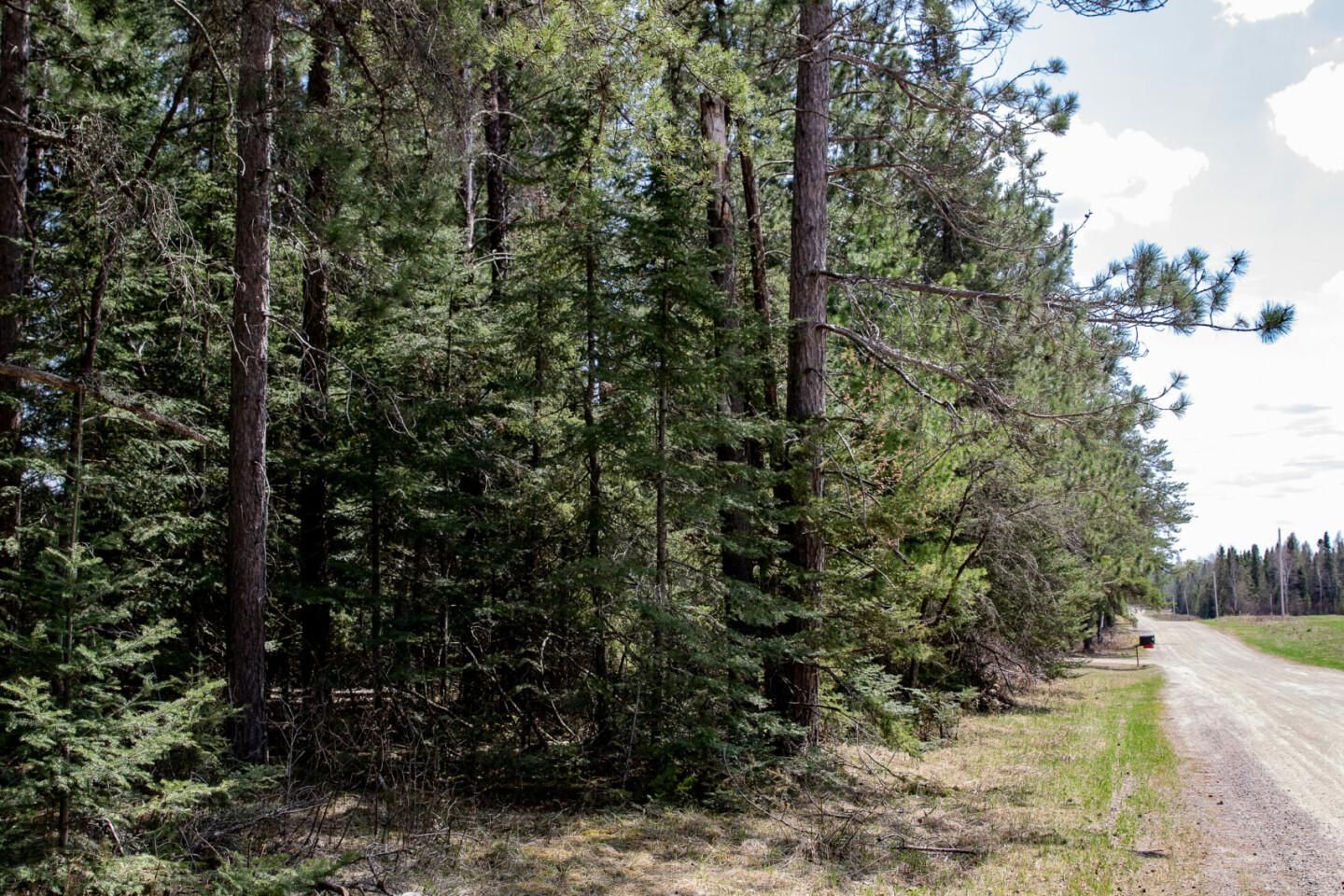 A51525, Embarrass, MN 55732 MLS 330001005234 LandWatch