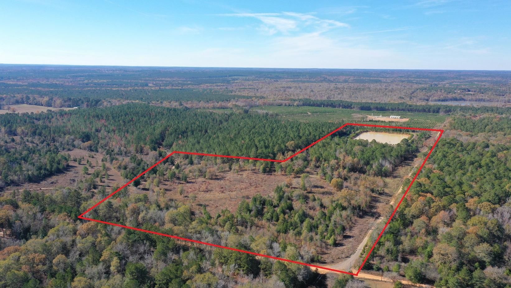 County Road 4345, Bivins, TX 75555 MLS 20236957 LandWatch