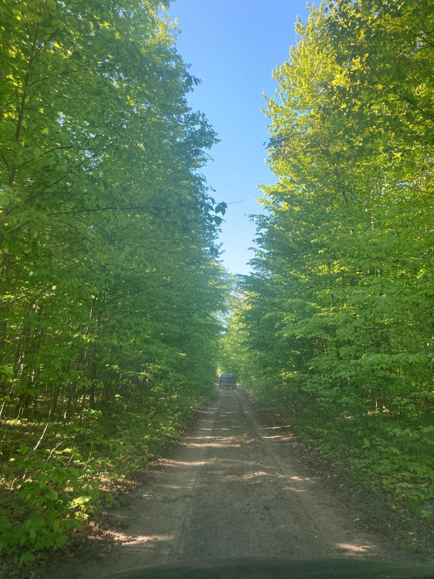 10892 Sand Piper Drive, Cheboygan, MI 49721 MLS 201824297 LandWatch