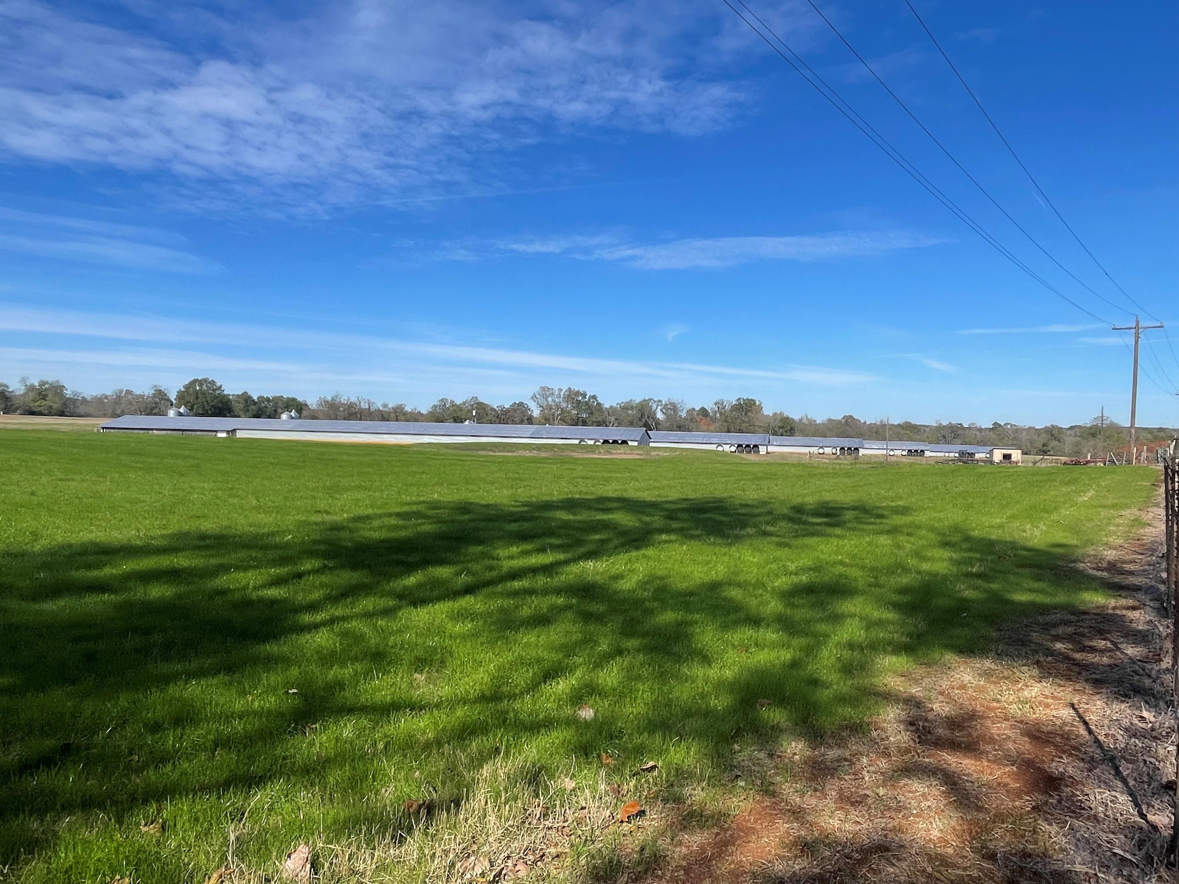 San Augustine, San Augustine County, TX Farms and Ranches for sale