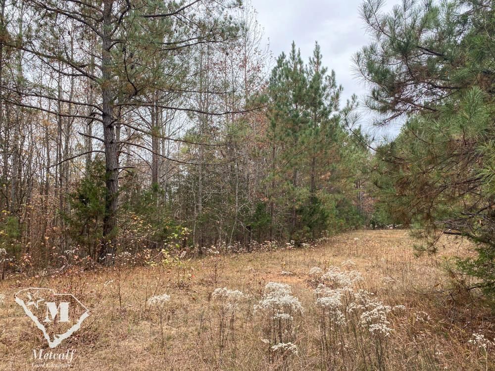 Farmer Road, Pauline, SC 29374 MLS 502000 LandWatch