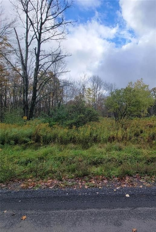 Newfield, Tompkins County, NY Undeveloped Land for sale Property ID
