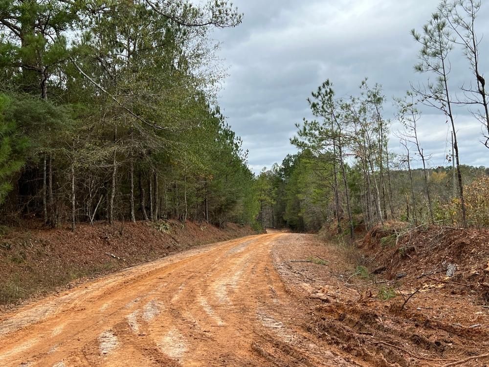Honoraville, Crenshaw County, AL Timberland Property, Hunting Property